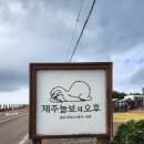 제주늘보의오후 이미지