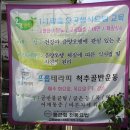 바른몸 프롭테라피 이미지