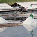 마마 김밥 이미지