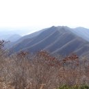 지리산갈비 이미지