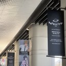 맨쇼핑 | 새틀라이트 플러스 홍대 체인소맨 팝업 레제 굿즈샵