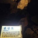 천곡황금박쥐동굴 이미지