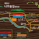 계명산나무숲길캠핑장 이미지