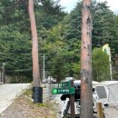 샘골주유소 이미지