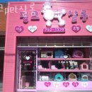 핑크 pet 살롱 이미지
