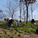 황토방펜션민박 이미지