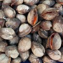 고흥상회 이미지