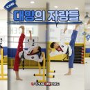 대망태권도 이미지