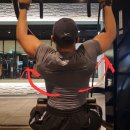 머슬캐슬 휘트니스 이미지