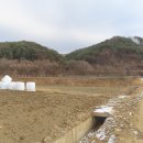 임당천 티스토리