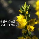 당신의 오늘은 정말 소중합니다 ❤ 이미지