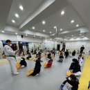 용인대 한라태권도 이미지