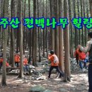 성주산 Daum카페