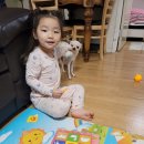 예영책세상