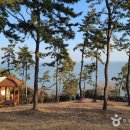 진도허브 이미지