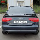 다이나믹프랜즈 이미지