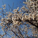 백은천냥시대 이미지