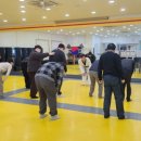 태권도활천도장 이미지