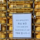 복심농장 | 위미리에서 시킨 황금향