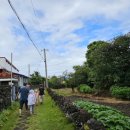 애월약국 이미지