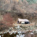용골송어와 캠핑 이미지