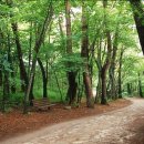 치악산둘레길 2코스 구룡길 이미지