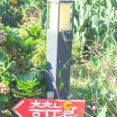 춤추는달 이미지