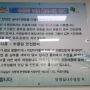 단양청소년수련관 수영장 이미지