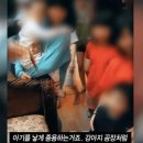 파도농장 이미지