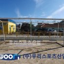 동보초등학교 이미지