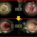 유기화동물의료센터 이미지