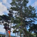 황교리노인회관 이미지