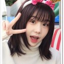 리라컴퍼니 이미지