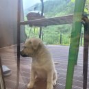 미리내축산 이미지