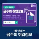 스탭스주식회사 이미지