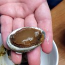 탐복전복고집 구병원점 | 대구 죽전 전복밥 맛집 :: 탐복 전복고집 죽전점 ::