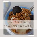 라라스윗 저당 아이스크림 파르페 요거놀라 달달 후기