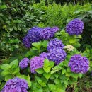 구로-공단-구로-48 이미지