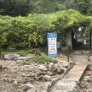윤미네백숙 | 여름이 지나가기 전에 능이 백숙과 계곡을 함께 즐길 수 있는 계곡산장