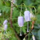 도리산전망대 이미지