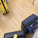 뜨거운 태양 아래 사계절이 공존해