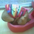 애견마을 이미지