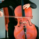 첼로와 거문고 이미지