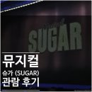 우현솔라 - 1176 | 2026.04.11 | 뮤지컬 <슈가(SUGAR)> 관람 후기 | 남우현 양서윤 솔라 김법래 | 부산시민회관 대극장 시야