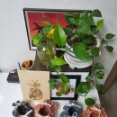 하늘홈패션 이미지