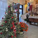 모정 | 남원 유럽 감성 분위기 좋은 '모정엔틱카페' 내돈내산 후기