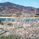 3월 21일(수) 전남/광양 매화축제 쫓비산, 갈미봉 산행 안내 이미지