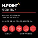 하이브짐(Hive Gym) 이미지