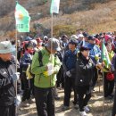 늘푸른횟집(삼남) 이미지