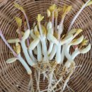 고창 이엠 이미지